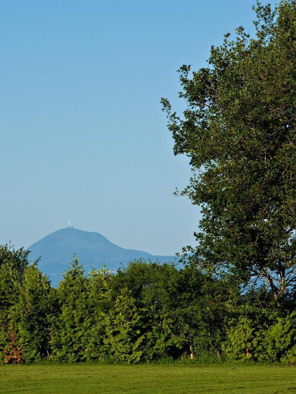 Hotel Chateau La Caniere